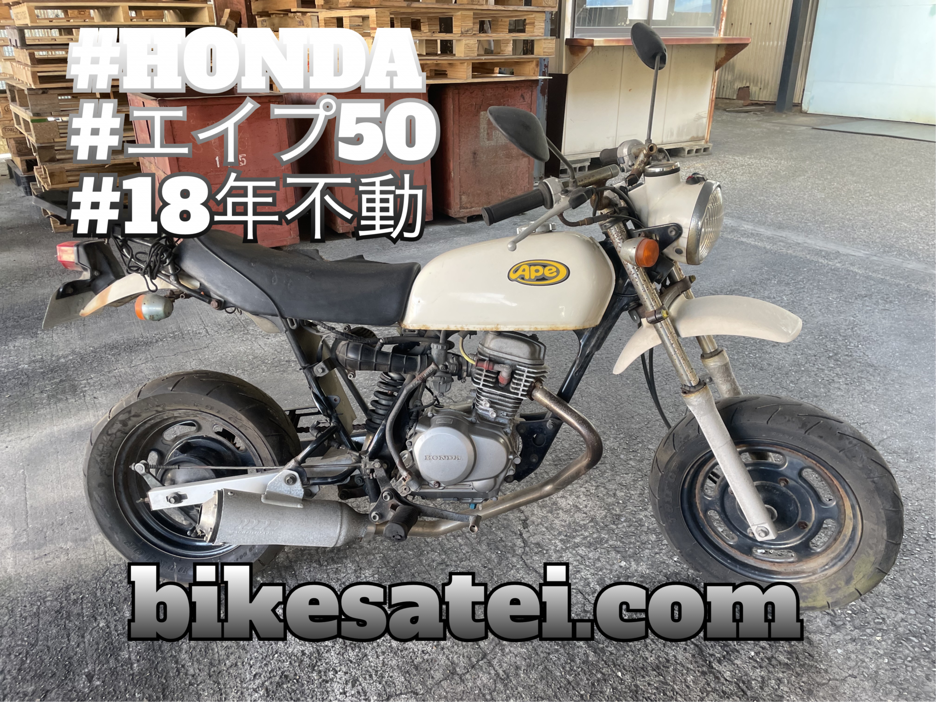 買取実績 アーカイブ - バイク買取ならバイク査定ドットコム